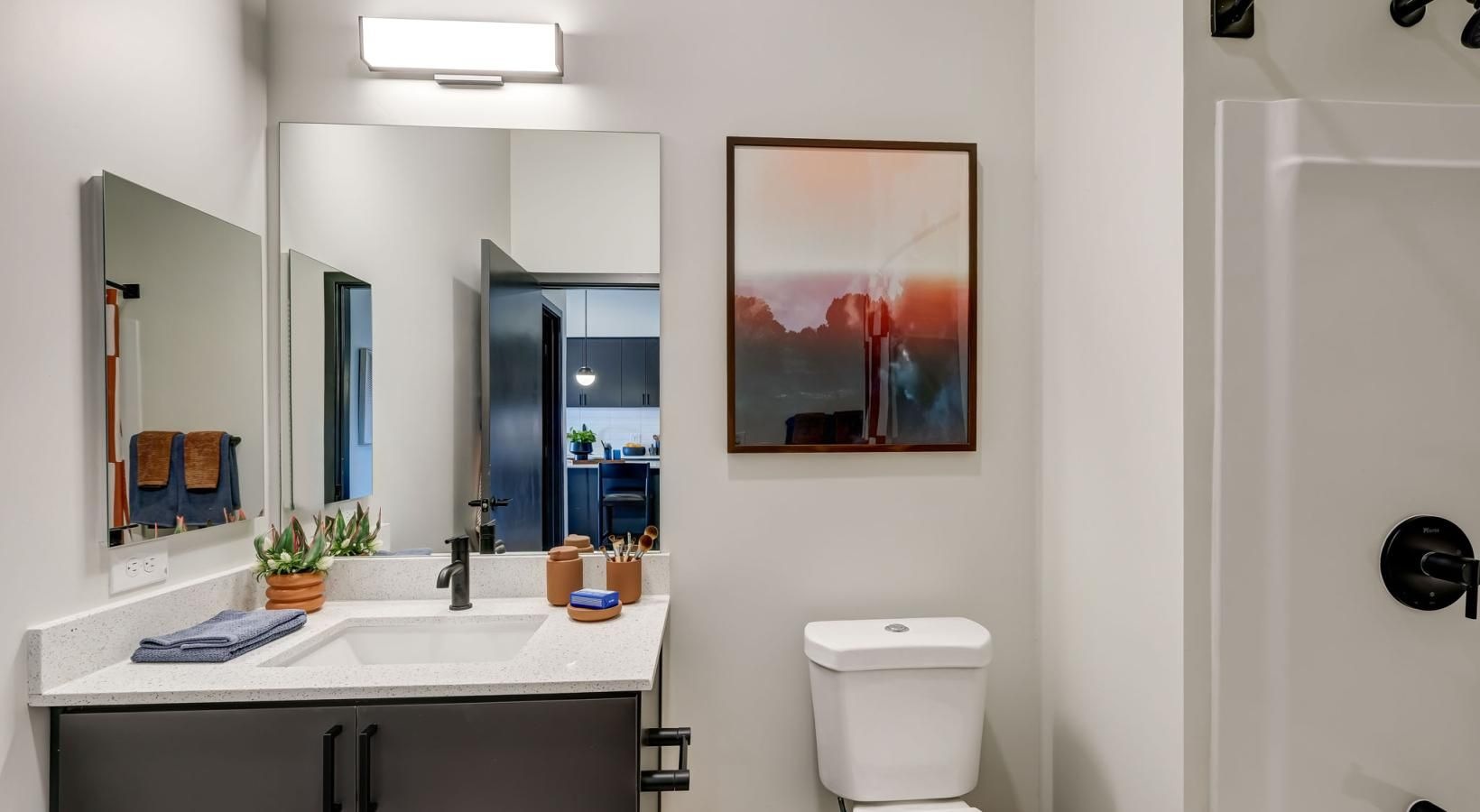 Bathroom options with thoughtful details a bathroom with a sink toilet and mirror