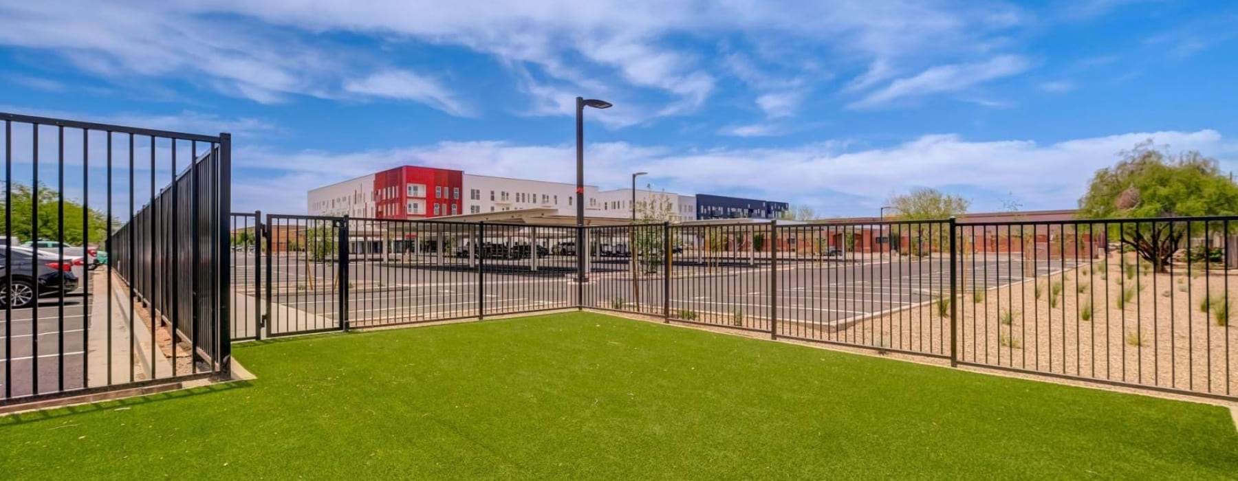 Fenced dog park at The Pomeroy apartments in Mesa, Arizona